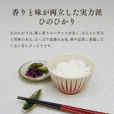 令和8年産 新米【特別栽培米】ひのひかり 宮崎県産 5kg 減農薬 精米 お米 白米 ヒノヒカリ 井