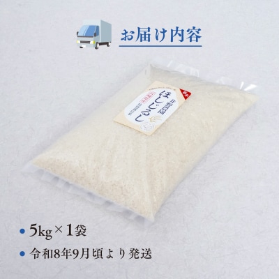 令和8年産 新米【特別栽培米】ほしじるし 宮崎県産 5kg 減農薬 精米 お米 白米 井野農園