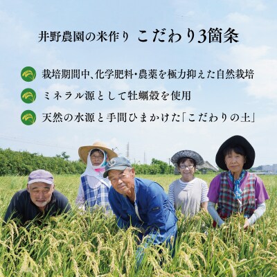 令和8年産 新米【特別栽培米】ミルキークイーン 宮崎県産 5kg 減農薬 精米 お米 白米 井野農園