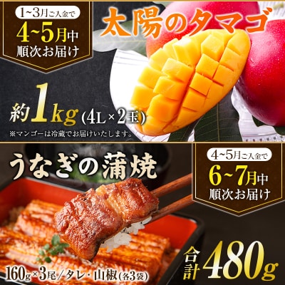 ＜全6回＞宮崎グルメ 定期便 (太陽のタマゴ うなぎ 宮崎牛 キャビア 伊勢海老) 特産品 詰め合わ