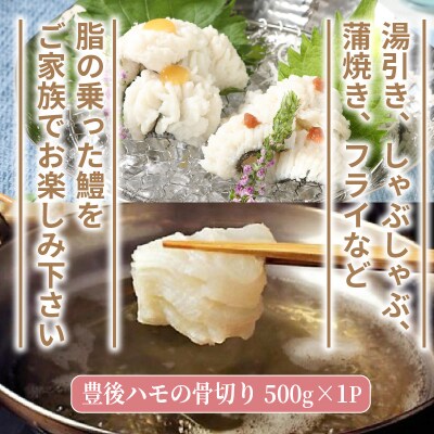 高級魚をご家庭で!豊後ハモの骨切り&唐揚げ用(計1kg)_29245A