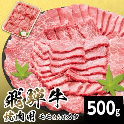 飛騨牛 モモまたはカタ 焼肉 赤身 500g BBQ 養老ミート