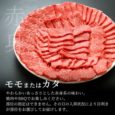 飛騨牛 モモまたはカタ 焼肉 赤身 500g BBQ 養老ミート