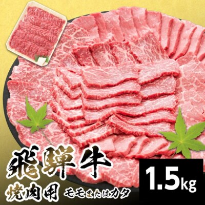 飛騨牛 モモまたはカタ 焼肉 赤身 1.5kg BBQ 養老ミート