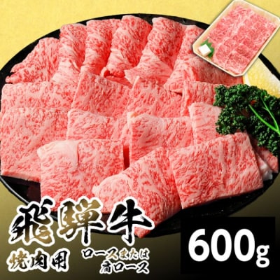 飛騨牛 ロースまたは肩ロース 焼肉用 600g BBQ 焼肉 養老ミート