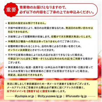 【令和9年産先行受付・常温配送】さくらんぼ　佐藤錦　秀品　Lサイズ　250g×2[B3-15101]