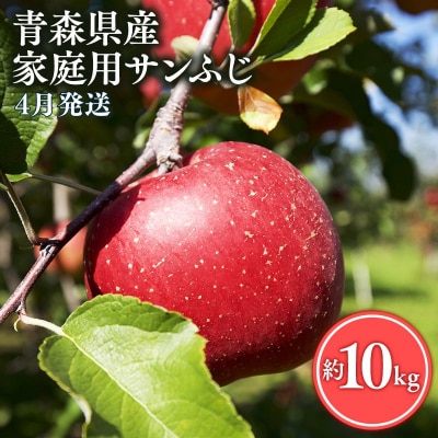 【4月発送】家庭用サンふじ10kg【丸勝木村商店・青森りんご】