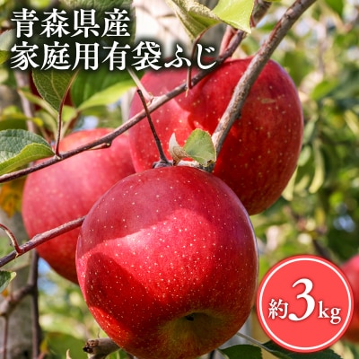 【5月～6月発送】家庭用有袋ふじ3kg【丸勝木村商店・青森りんご】