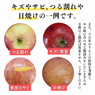 【5月～6月発送】家庭用有袋ふじ10kg【丸勝木村商店・青森りんご】