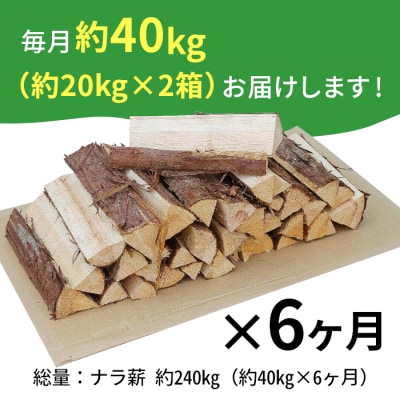 定期便 全6回 なら薪 中～大割 約40kg 計240kg 6ヶ月 キャンプ 焚火 暖炉 楢
