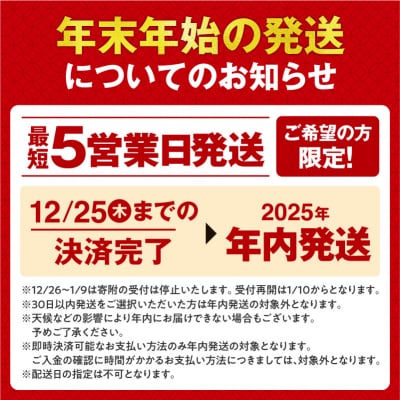 【最短5～7営業日以内発送】令和7年北海道産 ななつぼし【特Aランク】精米 10kg(5kg×2袋)