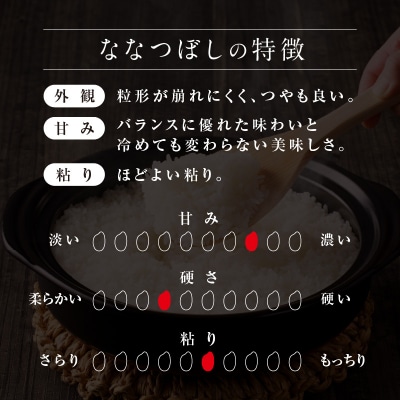 【新米予約】令和8年産 雨竜産 ななつぼし 精米 2kg(2kg×1袋)【定期便全8回】