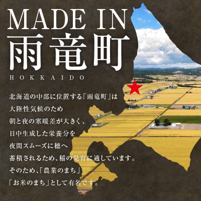 【新米予約】令和8年産 雨竜産 ななつぼし 精米 2kg(2kg×1袋)【隔月定期便全4回】 