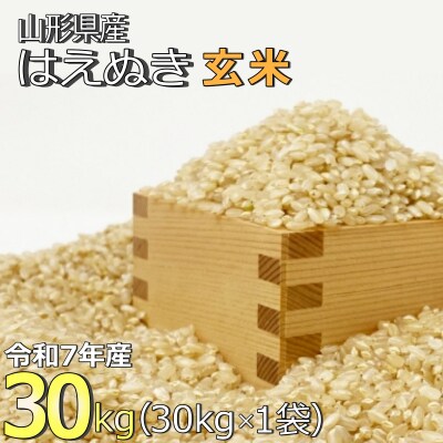 【令和7年産】【玄米】山形県産「はえぬき」30kg_A190(R7)