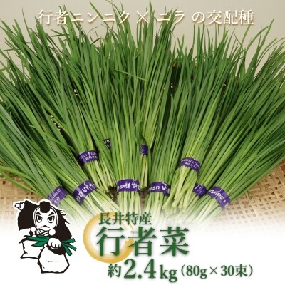 長井特産行者菜約2.4kg(80g×30束)_H221(R8)