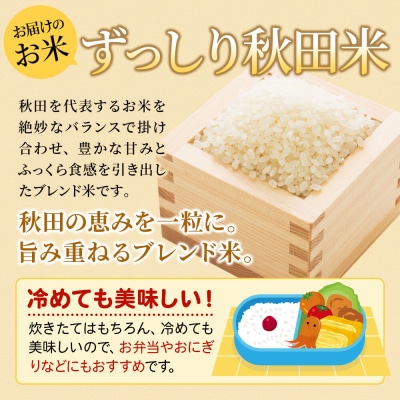 米《5ヶ月》  ブレンド米【白米】10kg|22_ssn-041005h_sf