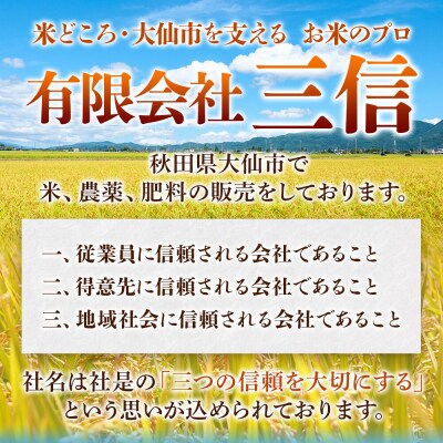 もち米 3kg(3kg×1袋)令和7年産 秋田県 大仙市産|22_ssn-070301