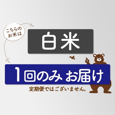R8産 新米受付 秋田県産 あきたこまち 10kg【白米】|foap-10601s