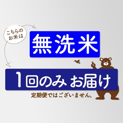 令和7年産 秋田県産 あきたこまち 20kg【無洗米】1回のみ|szap-30801