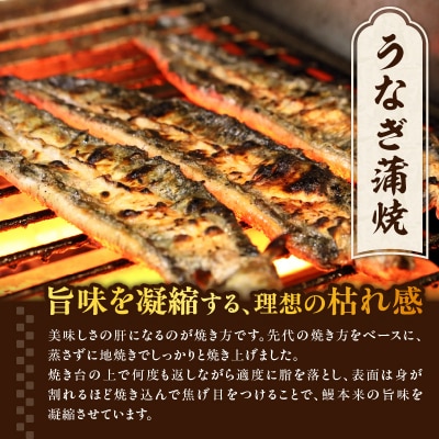 【敬老の日ギフト】 うなぎ料理入舟 蒲焼3尾+鰻山椒煮 ≪9月21日お届け≫_E07007-K