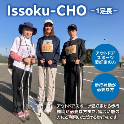 【敬老の日ギフト】ウォーキングポールIssoku-CHO ブラックシルバー1本_R17007-K