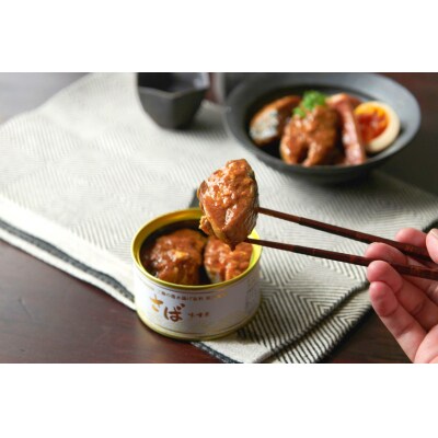 OceanPrincess 大ぶり鯖のさば缶 12缶 セット 味噌煮 [20565066]