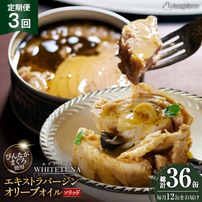 定期便 3回 OceanPrincess WHITETUNA 12缶 [20566219] 