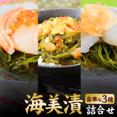 海美漬 豪華な 3種 詰合せ (6食分)ズワイガニ フカヒレ めかぶ|21_kis-010101
