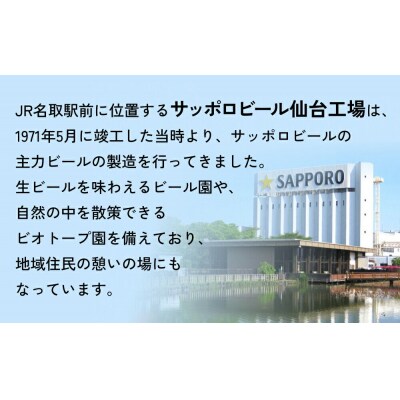 【定期便5ヶ月】ニッポンのシン・レモンサワー 350ml×24缶|21_hgs-070105a