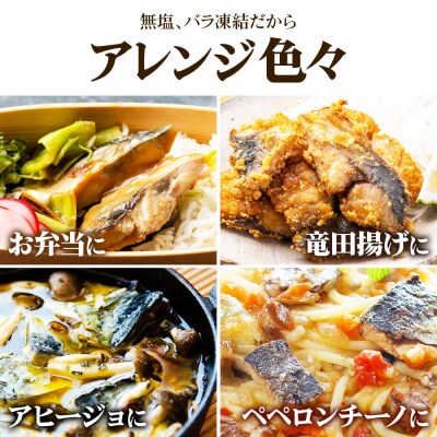 三陸常磐産 サバ 骨取切り身 30g×20枚入|21_sss-132001