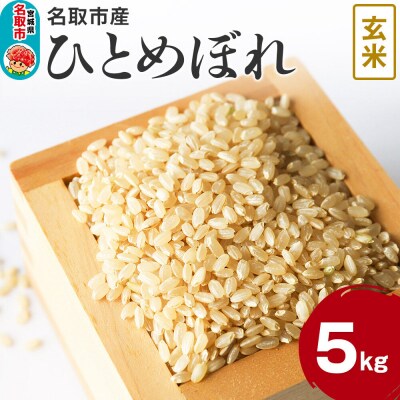 米 令和7年産 宮城県 名取市産 ひとめぼれ【玄米】 5kg|21_kkn-010501