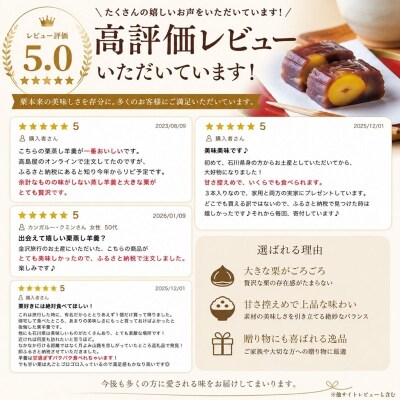 月よみ山路 栗むし羊羹5本セット 大人気ようかん 羊かんセット