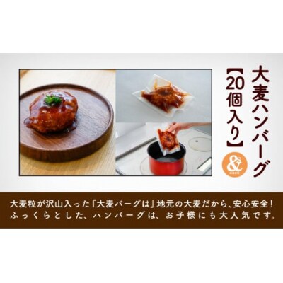 肉 料理 簡単 大麦ハンバーグ 20個入り