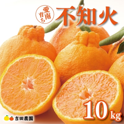 数量限定 先行受付 不知火 10kg しらぬい みかん 吉田農園 愛南町 愛媛県