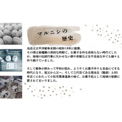 洋菓子 酒ケーキ 焼菓子 酒粕おやつ(酒粕レモンフィナンシェ)10個入