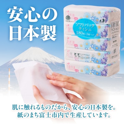 100パック!! ソフトパックティッシュ ソフィアタッチエコ ティッシュペーパー 日用品 大容量 