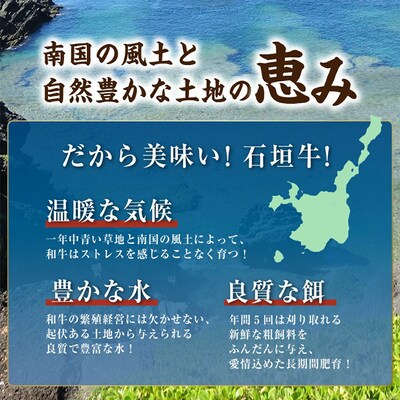 石垣牛肩ロースすきしゃぶ肉500g(担たん亭)