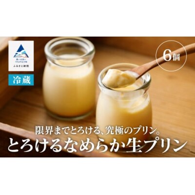 とろけるなめらか生プリン 6個 限界までとろけるプリン ギフトプリン