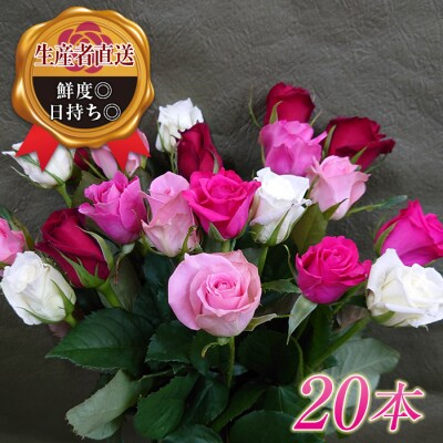 バラの花束(約20本) F20E-686