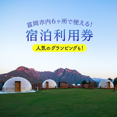 富岡市内ホテル・旅館・民宿利用券(3,000円分) F20E-206