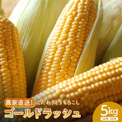 ＜2026年先行受付＞農家直送!こだわりトウモロコシ 5kg (12本～15本)  F20E-771