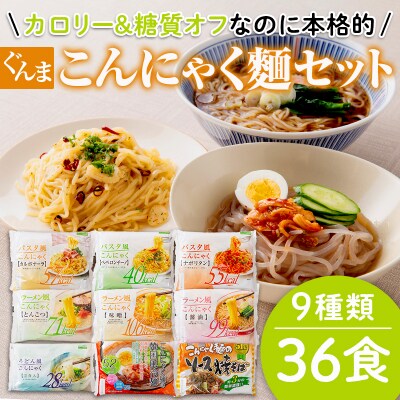 カロリー&糖質オフなのに本格的 ぐんまこんにゃくセット(9種類36食) F21E-028