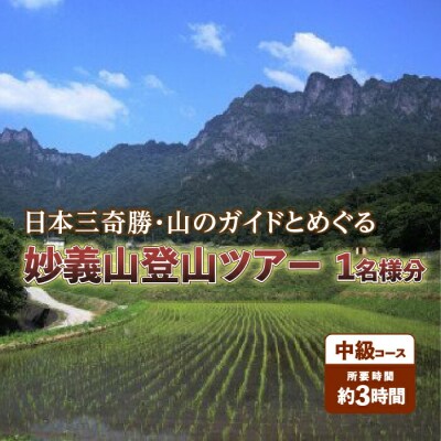 日本三奇勝・山のガイドとめぐる妙義山登山ツアー1名様分【中級コース】 F20E-720