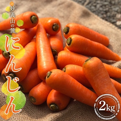 妙義山の麓 春のにんじん 2kg F21E-195