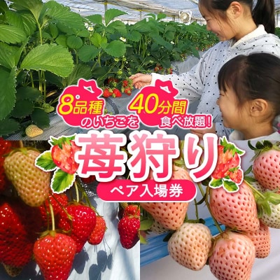 ＜高田いちご園＞ 苺狩りペア入場券(2名様) F21E-083