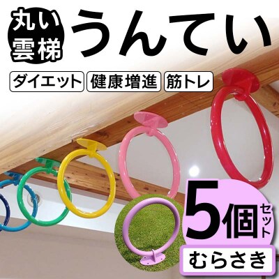 丸い 雲梯(うんてい) 5個セット ＜むらさき＞ F21E-282