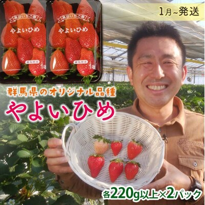 群馬県産いちごセット＜やよいひめ2パック＞【2026年1月4日～3月31日発送】 F21E-493