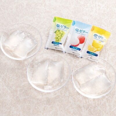 【夏季限定】 夏塩分補給に!ソルティーゼリー (18g×12個入)×12袋 F21E-561
