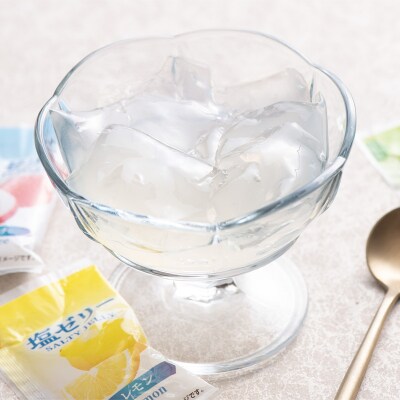【夏季限定】 夏塩分補給に!ソルティーゼリー (18g×12個入)×12袋 F21E-561