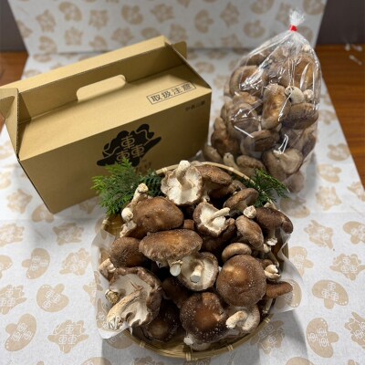 規格サイズにこだわらない轟生しいたけ 1kg きのこ キノコ 野菜 食品 F21E-530